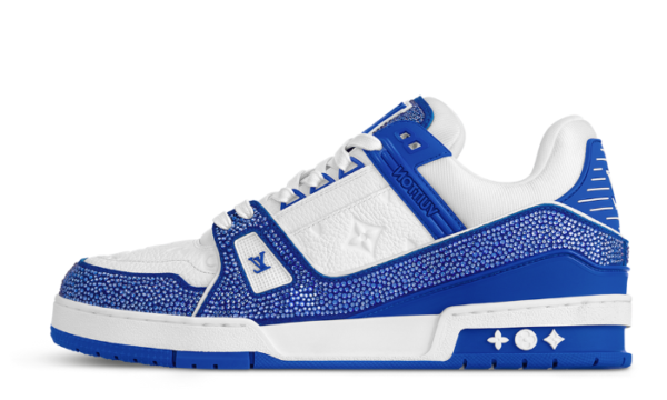 Trainer Blue - Image 1