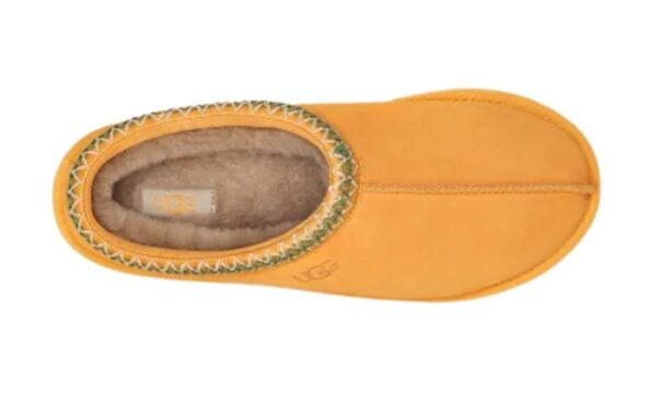 Tasman Prezzo originale - Image 3