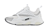 B22 White Silver