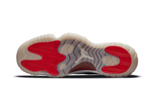 Low IE Bred - Image 4