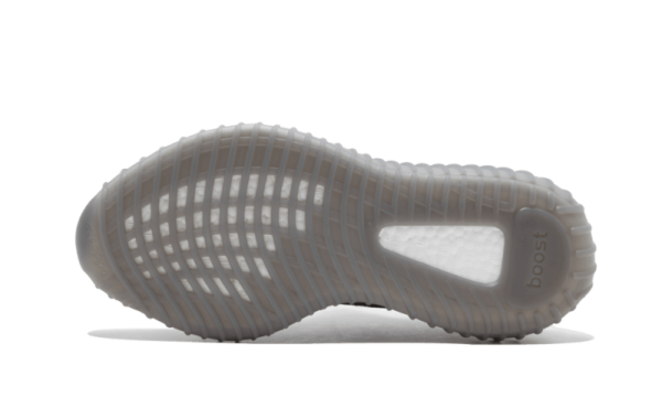 Beluga 2.0 - Image 4