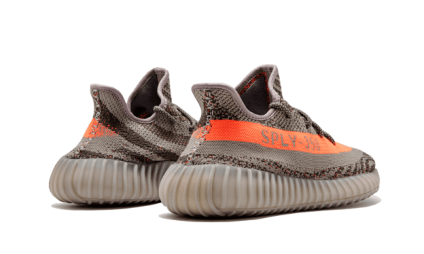Beluga - Image 3