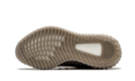 Beluga - Image 4
