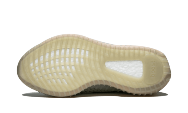 True Form - Image 4