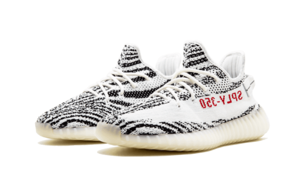 Zebra - Image 2