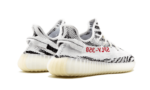 Zebra - Image 3