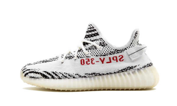 Zebra - Image 1