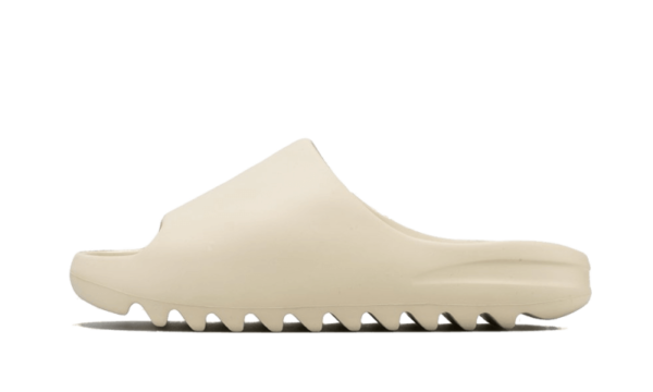 Bone - Image 1