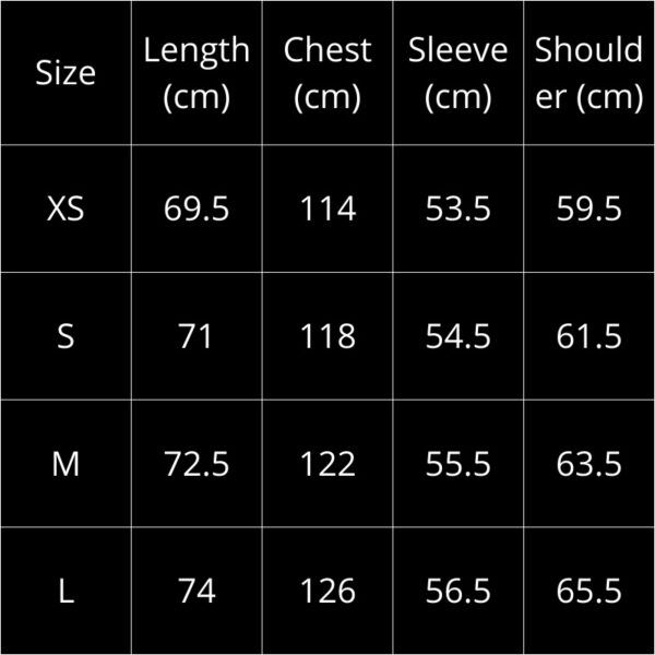 Sweatshirt Balenciaga BL090 - Image 3