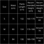 Balenciaga Pants Black BL095 - Image 3