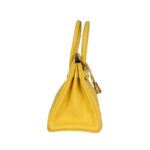 Taurillon Novillo Ros?gold 30cm - Image 3
