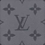 Monogramm-Eclipse-Leinwand 50cm - Image 4