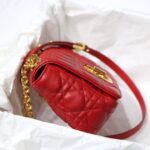 Caro Rot 20 cm - Image 3