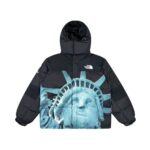 Jacket Supreme The North Face Statue of Liberty