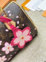 LV x TM Speedy Bandouli?re 20 cm - Image 6