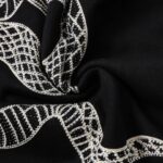 Tracksuit Philipp Plein Snake Embroidered Design PP006 - Image 4